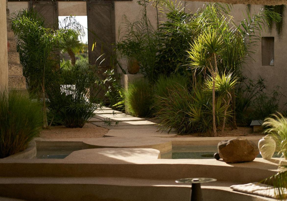 Ecohotel El Agua Arico el Nuevo Kültér fotó