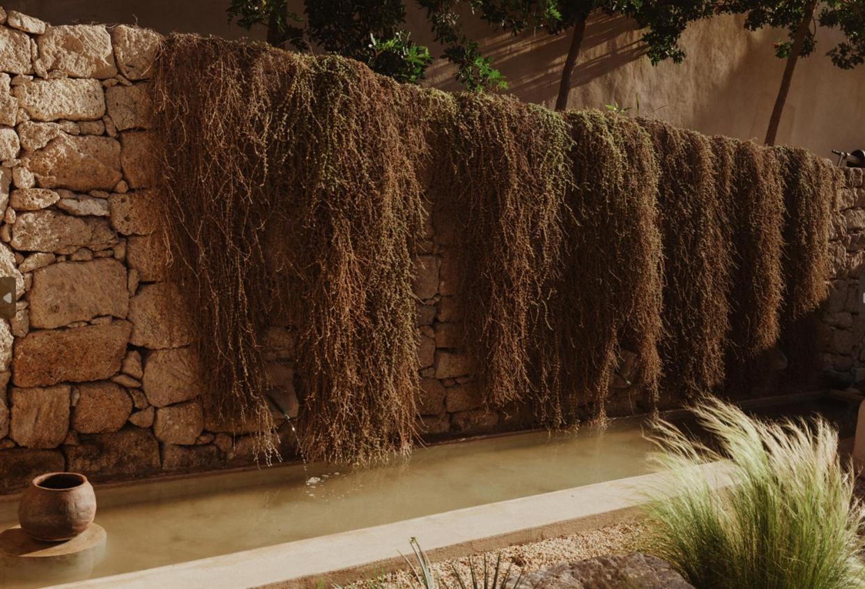 Ecohotel El Agua Arico el Nuevo Kültér fotó