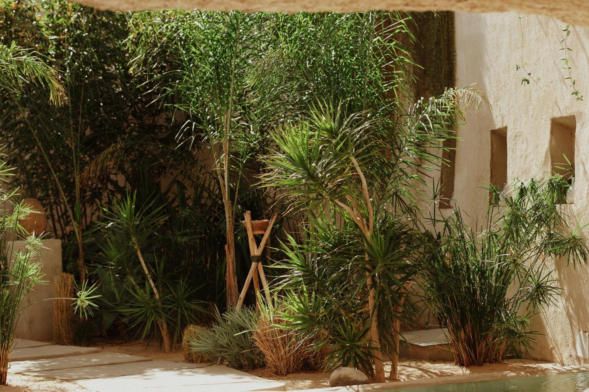 Ecohotel El Agua Arico el Nuevo Kültér fotó